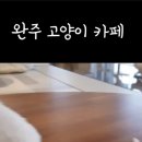 뚱냥한 하루 네이버블로그