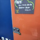 호박넝쿨 이미지