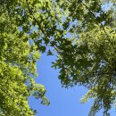 은여울공원 이미지