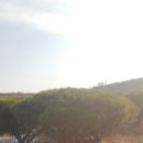 영민농장 이미지