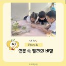 다빈치창의영재센터학원 이미지