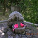 거북약수터 이미지