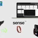 스마트동물병원 이미지