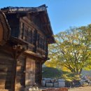 진전농협 하나로마트 이미지