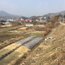 유구읍사무소 이미지