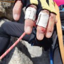 온세미로 이미지