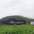 동굴에 평화의 동백이 이미지