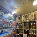 심마니산약초산삼백숙 | 남양주 맛집 나만 알고 싶은 보양식 심마니산약초백숙 내돈내산