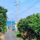 태균목장 이미지