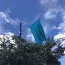 씨유 서귀대포마을점 | 제주도 여행 : 스위트 호텔 / 서귀다원 / 도두 해녀의집 그 외 나만 알고 싶은 제주도 명소 🤍