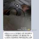 퍼피비스킷 네이버블로그