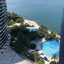 칵투스 아일랜드 이미지