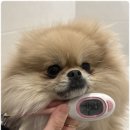 사랑가득한유치원 이미지