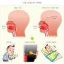 J2088 이미지