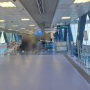 마카오 | 홍콩에서 마카오 페리 코타이젯 탑승 후기 및 꿀팁(+터보젯 비교)