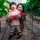 봄이네농장 이미지