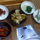 참소오리 네이버블로그