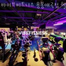 바이브 피트니스 이미지