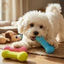 덴탈마트 이미지