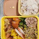 ＜점심 도시락＞새벽 3시에 일어나 내 도시락을 싸는 아내 이미지