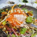 힘대로회식당 | 동해 묵호항맛집 선명회식당 물회 회덮밥 맛집