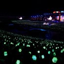 (주)드림팩트