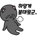 자양보유원지 네이버블로그