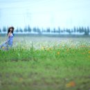 포시즌 07