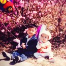 중동우리들약국 | feb • 우행시 찾기