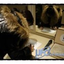 (주)롯데프리미엄아울렛파주점 이미지