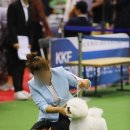 개키우는 언니 이미지