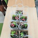 하길초등학교 이미지