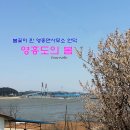 영흥면사무소 이미지