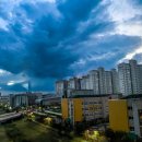 부주초등학교 이미지