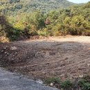 아름다운밀양농장 이미지