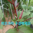 태농농장 이미지