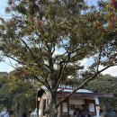 길갈농장 이미지