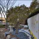 부산성우학교 이미지