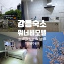 뷰무인텔 | 강릉 가성비 숙소 워너비 무인텔 솔직후기 (아고다 최저가)