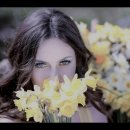 Seven Daffodils (일곱송이 수선화, Carol Kidd) 이미지