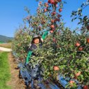 은석농장 이미지