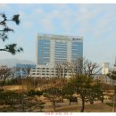 창원 가음정동 고분군 이미지