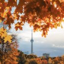 하얀나래 A 이미지