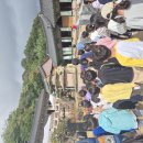 10/17(금) 두실초3학년 생태 탐험대 이미지