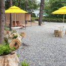 석천근린공원 이미지