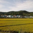 집현면사무소 이미지