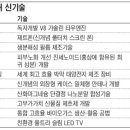 보라기술 이미지