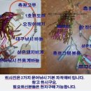 인천낚시1번지