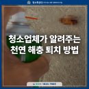 고현로 14길 이미지