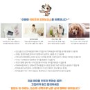 아이조아요양보호소 대구점 | 대구 고양이파양: 친절하고 믿을만한 아이조아보호소